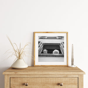Italian village window with two senior women in monochrome  