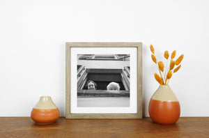 Street photography portrait of elderly women in Tuscany window  