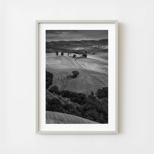 Monochrome Tuscan countryside with rolling hills