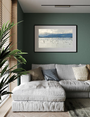 Alaskan coastal landscape filled with flying kittiwakes