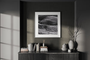 Paisaje en blanco y negro de campos de té ondulados y senderos estrechos en Kodanad.
