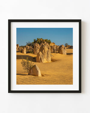 Pinnacles Desert limestone formations rising from golden sand in Nambung National Park