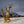 Twisted bristlecone pine trunk on a lightly snow-covered mountain slope