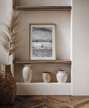 Horse at the foot of a broad sandstone cliff in a monochrome desert photograph