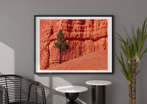 Kunst aus rotem Sandstein aus Arizona