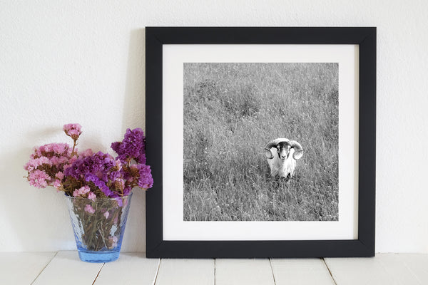 Serene nature ram wall art