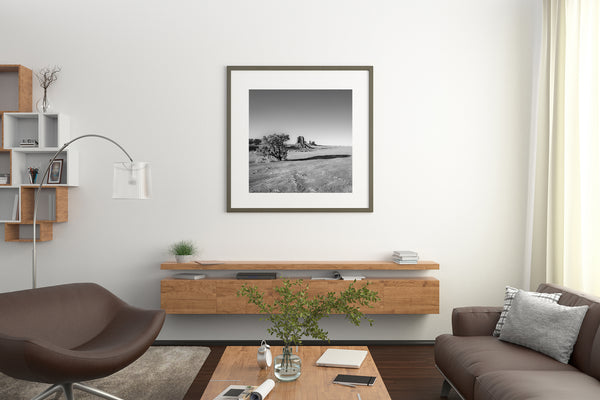 Monument Valley’s iconic buttes with lone tree