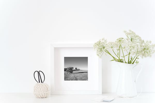 Black and white Monument Valley landscape