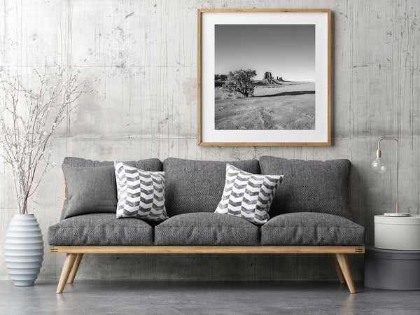 Desert scene with rock formations and tree