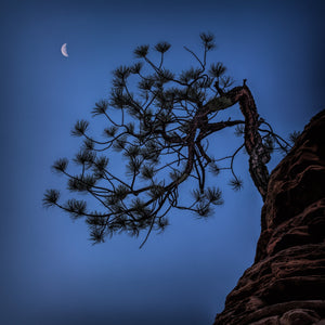 Starry landscape photography print