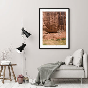 Tree beside Canyon de Chelly ruins print