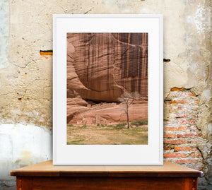 Arizona canyon wall art with ancient ruins