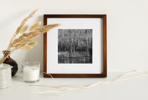 Light across calm swamp water beneath a dense grove of Louisiana cypress trees