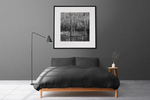Cypress trees and their reflections framed by moss-draped branches in Louisiana