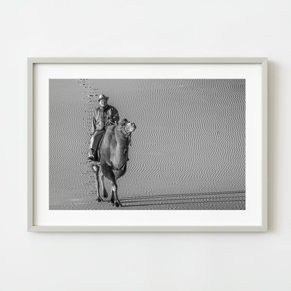 Man Riding Camel Gobi Desert