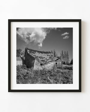 Black and white photograph of collapsed prairie barn in rural Manitoba