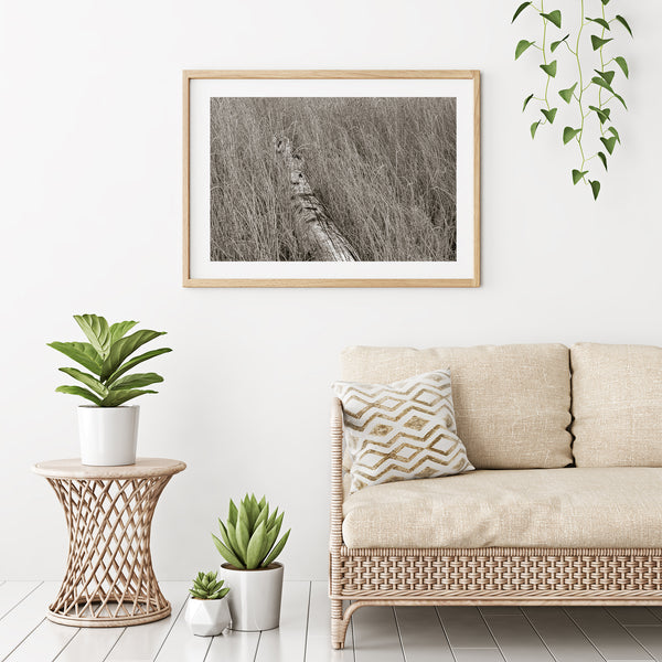 Marshland Simplicity | Photo Art Print fine art photographic print