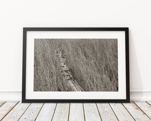 Marshland Simplicity | Photo Art Print fine art photographic print