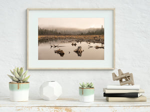 Warm mist hangs above a forest beyond a flooded beaver pond