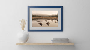 A large tree stump and its reflection dominate a tranquil wetland foreground