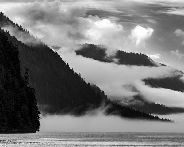 Monochrome misty landscape British Columbia