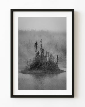 Small tree covered island in misty Newfoundland lake black and white