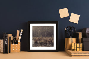 Haliburton wetlands landscape photo print