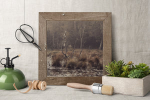 Quiet swamp reflection fine art artwork