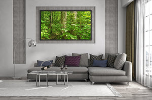 Sunlit maple trees in Algonquin