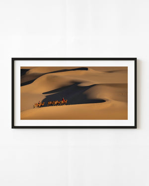 Camel riders cross golden Mongolian dunes beside sweeping dark shadows