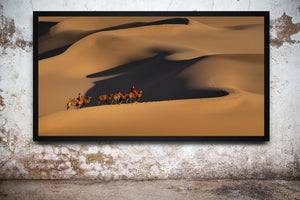 Camels form a small procession beneath broad sculpted dunes