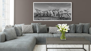 Traditional eagle hunting culture in the Mongolian Gobi Desert