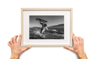 Horse splashing through shallow stream in western Mongolia