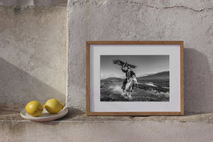 Black and white action portrait of eagle rider in Mongolian Altai
