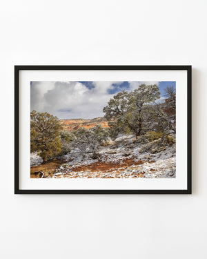 Snow-dusted desert trees beneath clouds in Monument Valley
