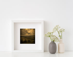 Clouded golden sky above rural rooftops and fields in Tuscany