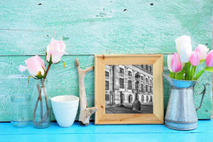 Black and white morning light on Dutch palace