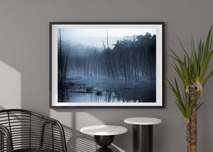 Bare trees in fog wall art print