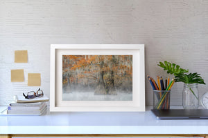 Cypress Morn Mist Cypress | Arte da parete