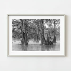 Framed black and white photograph of a swamp with trees in the water on a white wall.