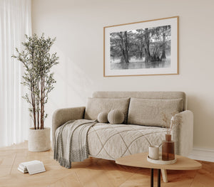Living room with a beige sofa, plant, and framed artwork on a white wall.