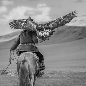 Golden eagle spreading its wings above a mounted rider