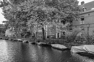 Tree lined Amsterdam canal with covered boats and historic homes