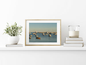 Warm sunlight across a quiet harbour filled with moored boats