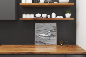 White seabird and dark waves in a monochrome ocean scene