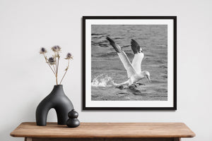 Ocean spray surrounding a seabird with outstretched wings