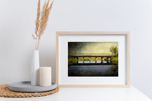 Yellow-green marsh grasses beneath a rural Ontario bridge