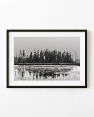 Northern Ontario forest beneath a smoke-veiled sky in black and white