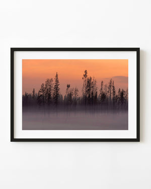 burned forest with smoke at sunset Northwest Territories