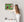 Santa Marta Green Facade And Red Door Cuba Colour Photography